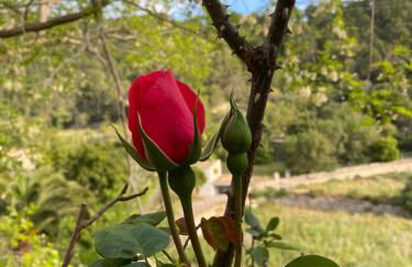 Agroturismo Finca Can Sec - Foto 10