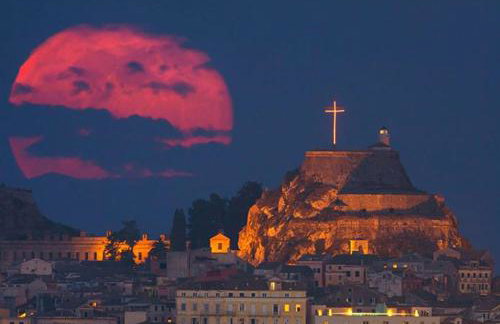 The Olive Tree House - Foto 65