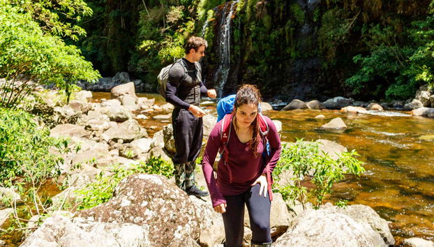 Connect with nature as you hike through the Brazilian jungle