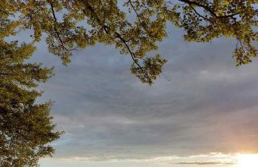 Willa przy lesie - Foto 29