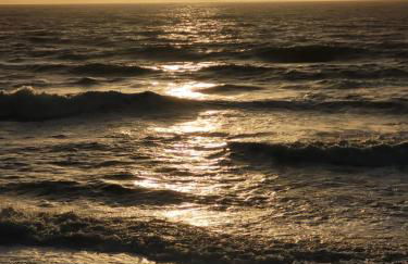 The Granary Corris on the edge of the Dyfi Forest - Photo 37