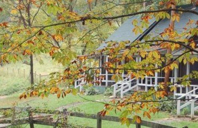 The Cabins at Healing Springs - Foto 54