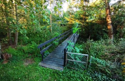 Garden House nad jeziorem Szelment - Foto 49