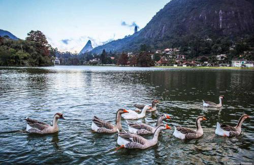 Prime Flat Terê - Foto 18