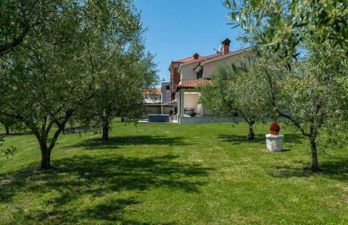 Vista OLIVO - Foto 26