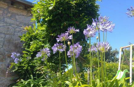 Casinha Nº461 - Foto 27