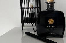 Palm Blues - Photo 49