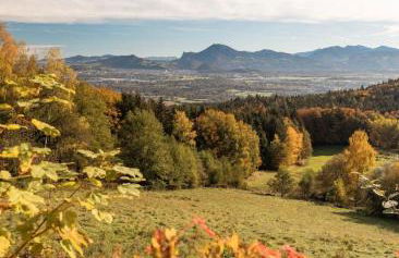 Ferienwohnung auf dem Högel in Piding - Foto 10