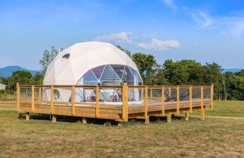 Faraway Geodome with Views - Photo 25