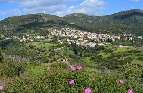 Big family house in Mesochoria village - Foto 2