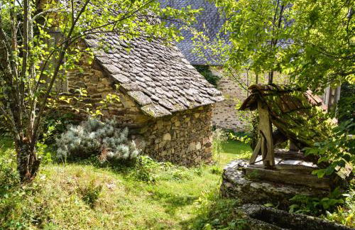 Le Papillon Bleu - Foto 5