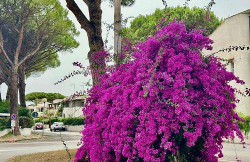 CASA MILA White - Foto 58