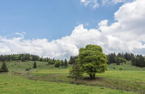 Feldberg Suite mit Balkon - Foto 23