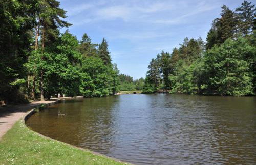 1 Bed in Cinderford oc-73633 - Photo 15