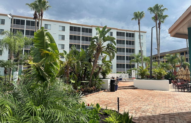 Orlando's Sunshine Resort - Foto 56