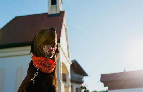 Ferienhaus im Landhausstil im Vital Camp Bayerbach - Foto 37
