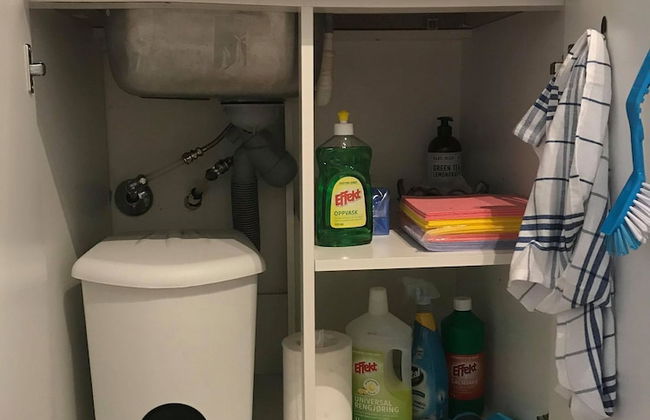 Notodden Sentrum Apartment NO 10 - Photo 16