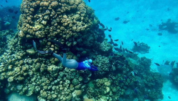 Providencia Snorkelling Tour - Foto 4