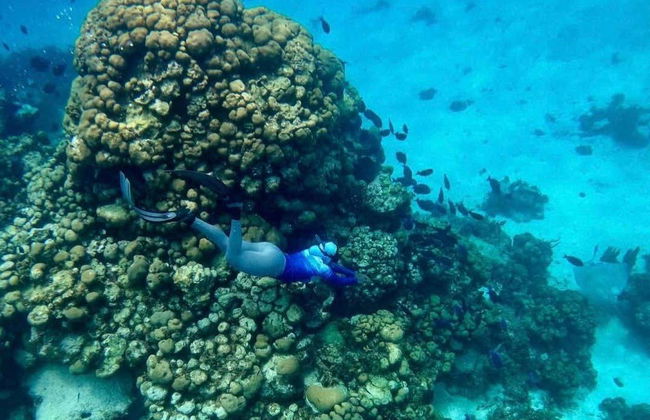 Snorkel en Providencia - Foto 4