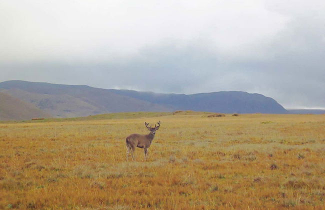 Antisana National Park Tour - Photo 2