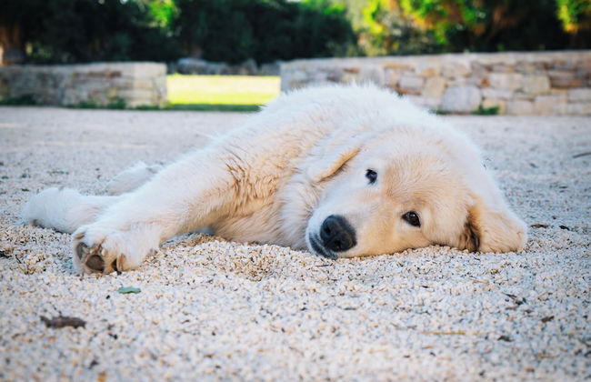 Masseria Pilano - Foto 35