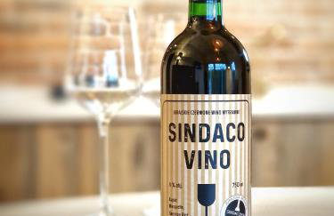 DomkiTomki, Winnica Sindaco - Foto 27