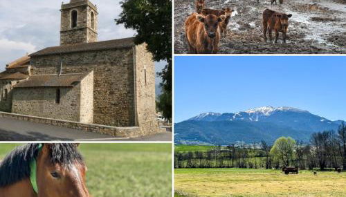 La Maison du Fleuve - Foto 2