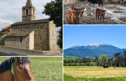 La Maison du Fleuve - Foto 2