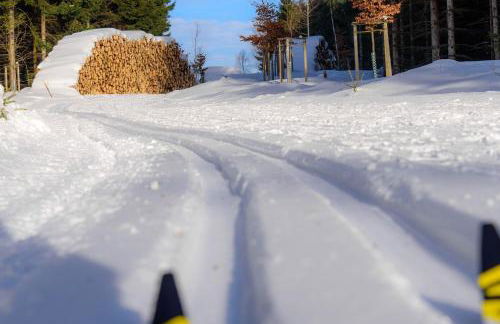 Ferienwohnung Tannenblick 3-3 - Foto 25