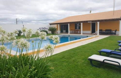 Família Gaiolas - Foto 18