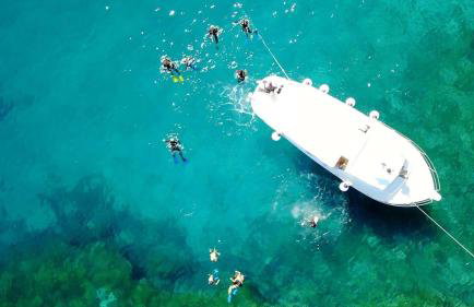 Villa Mendula Trogir - Luxury villa by the beach - heated pool - lush green garden - Photo 118