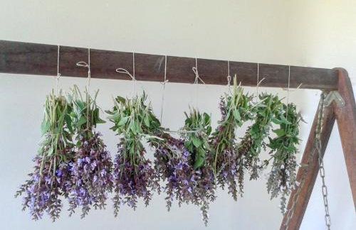 Aroggia Farm - Foto 10