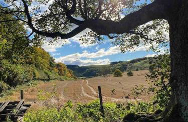 The Carthouse (Luxury 2 bed with private hot tub) - Photo 21