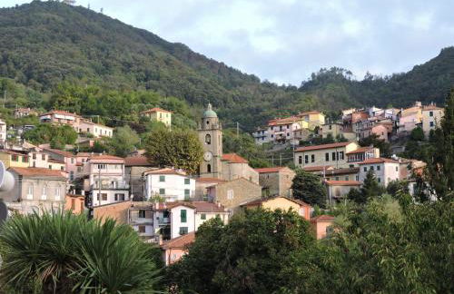 I Limoni di Matteo - Foto 1