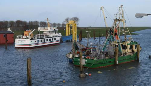 Heimathafen über Hafen-Pub - Foto 5