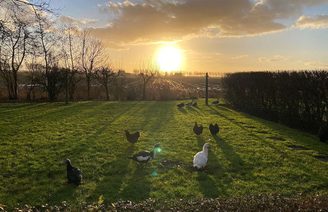 Cottage in Paesens Near Wadden Sea - Foto 28