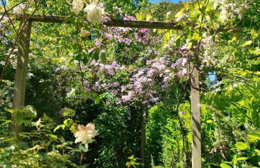 La Tonnelle - Foto 38