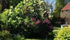 Ferienwohnung Rubitz - Foto 3, Garden