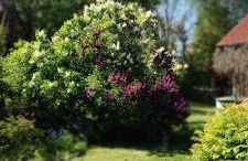 Ferienwohnung Rubitz - Foto 3