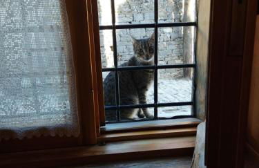 Penelope Elafotopos - Foto 45