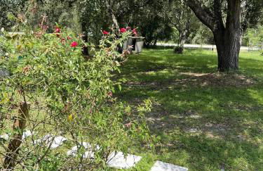 The Deer Retreat at Venus - Foto 75