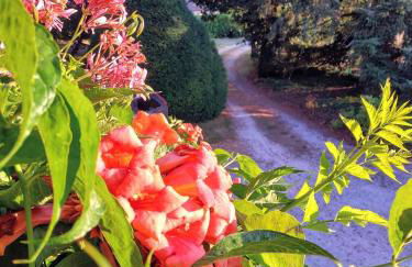 Le Petit Manoir de Vitrac - Foto 11