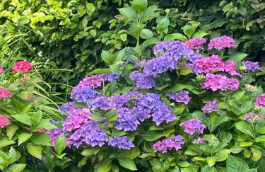 Maison Hestia - Foto 6