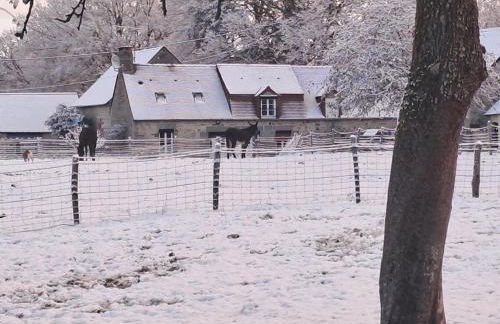 Maison restaurée avec charme à Domfront, animaux admis, wifi, près des pistes cyclables - FR-1-497-201 - Foto 30