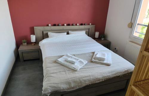 Appartement cosy, calme et lumineux à Strasbourg - Foto 27