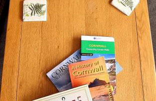 Hidden Gem near the beach with pool table - Foto 24