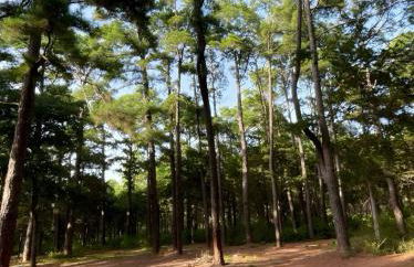 Cozy Cabin Escape - Foto 22