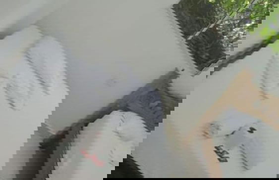 arhuacos hostal - Photo 10