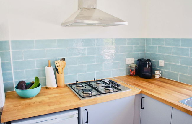 João Jungle - Foto 27