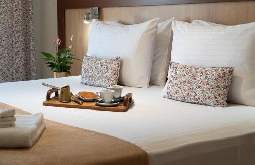 Arisvi All Seasons Hotel - Foto 10